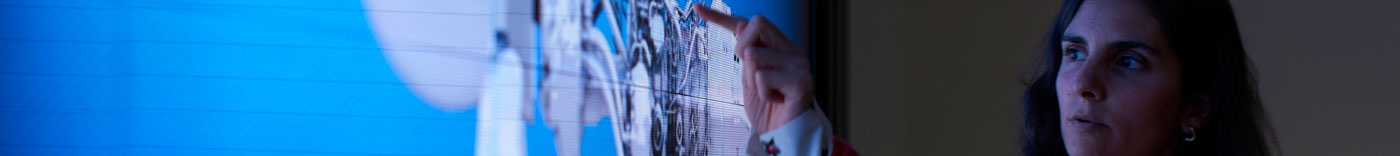 Bild zu Finance Analyst - Government Finance